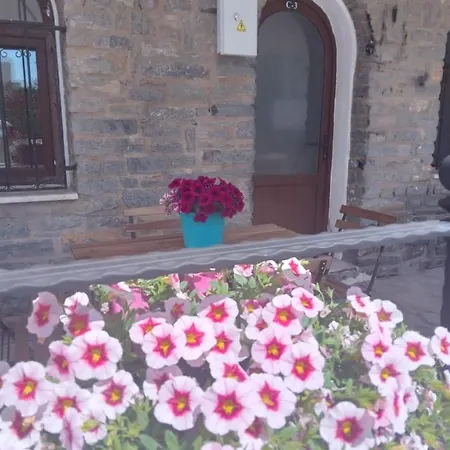 Dolphin Residences Coleus 3 Apartment *